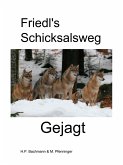 Friedl's Schicksalsweg Buch 2 (eBook, ePUB)