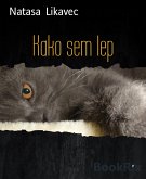 Kako sem lep (eBook, ePUB)