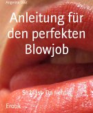 Anleitung für den perfekten Blowjob (eBook, ePUB)