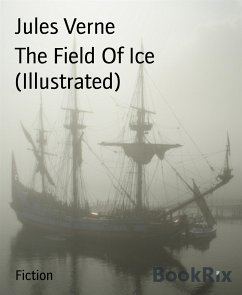 The Field Of Ice (Illustrated) (eBook, ePUB) - Verne, Jules