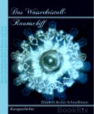 Das Wasserkristall-Raumschiff (eBook, ePUB)