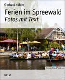 Ferien im Spreewald (eBook, ePUB)