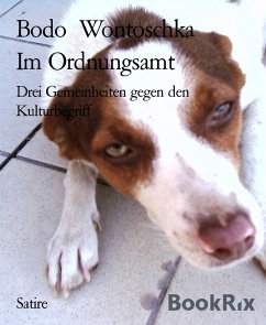 Im Ordnungsamt (eBook, ePUB) - Wontoschka, Bodo