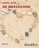 Die Überraschung (eBook, ePUB)