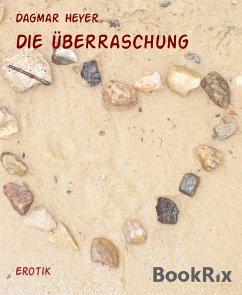 Die Überraschung (eBook, ePUB) - Heyer, Dagmar
