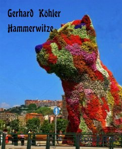 Hammerwitze (eBook, ePUB) - Köhler, Gerhard