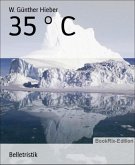 35 ° C (eBook, ePUB)