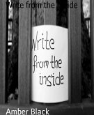 Write from the Inside (eBook, ePUB)
