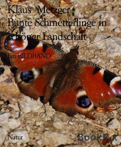 Bunte Schmetterlinge in schöner Landschaft (eBook, ePUB) - Metzger, Klaus
