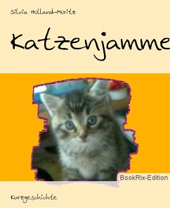 Katzenjammer (eBook, ePUB) - Holland-Moritz, Silvia