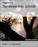 Der kleine Herr Schmitt (eBook, ePUB)