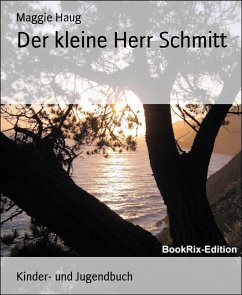 Der kleine Herr Schmitt (eBook, ePUB) - Haug, Maggie