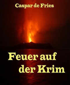 Feuer auf der Krim (eBook, ePUB) - de Fries, Caspar