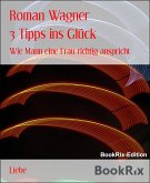 3 Tipps ins Glück (eBook, ePUB)