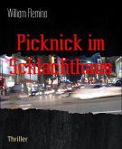 Picknick im Schlachthaus (eBook, ePUB)