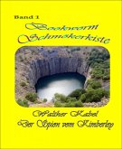 Schmökerkiste Band 1 - Der Spion von Kimberley (eBook, ePUB)