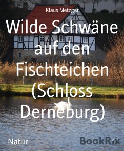 Wilde Schwäne auf den Fischteichen (Schloss Derneburg) (eBook, ePUB) - Metzger, Klaus