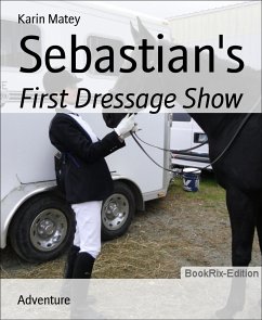 Sebastian's (eBook, ePUB) - Matey, Karin