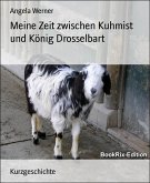Meine Zeit zwischen Kuhmist und König Drosselbart (eBook, ePUB)