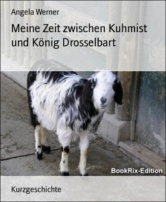 Meine Zeit zwischen Kuhmist und König Drosselbart (eBook, ePUB) - Werner, Angela