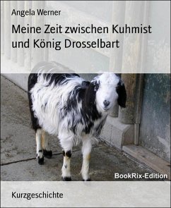 Cover Meine Zeit zwischen Kuhmist und König Drosselbart (eBook, ePUB)