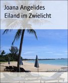 Eiland im Zwielicht (eBook, ePUB)
