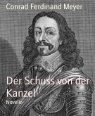 Der Schuss von der Kanzel (eBook, ePUB)