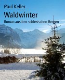Waldwinter (eBook, ePUB)