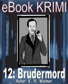 Krimi 012: Brudermord (eBook, ePUB)