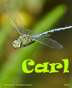 Carl (eBook, ePUB) - Krippenstapel, Christian