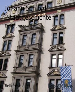 Stadtgeschichten (eBook, ePUB) - Schlögl, Johann