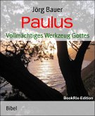 Paulus (eBook, ePUB)