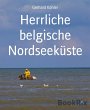 Herrliche belgische Nordseeküste... - Bild 1