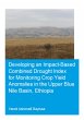 Developing an Impact-Based Combined... - Bild 1