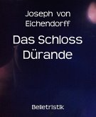 Das Schloss Dürande (eBook, ePUB)
