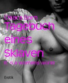 Tagebuch eines Sklaven (eBook, ePUB)