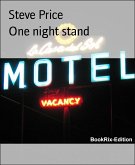 One night stand (eBook, ePUB)