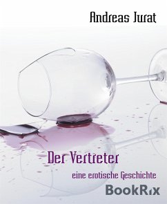 Der Vertreter (eBook, ePUB) - Jurat, Andreas
