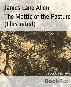 The Mettle of the Pasture (Illustrated) (eBook, ePUB) - Lane Allen, James