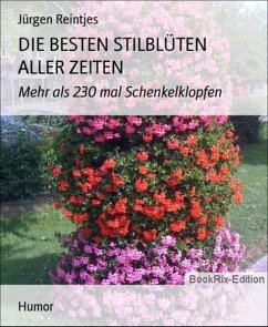 DIE BESTEN STILBLÜTEN ALLER ZEITEN (eBook, ePUB) - Reintjes, Jürgen