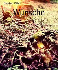Wünsche (eBook, ePUB) - Müller, Franziska