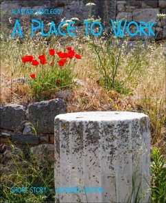A Place to Work (eBook, ePUB) - Macleod, Alastair