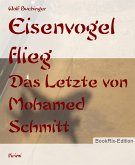 Eisenvogel flieg (eBook, ePUB)