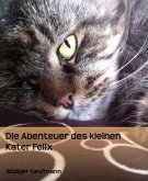 Die Abenteuer des kleinen Kater Felix (eBook, ePUB)
