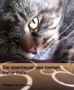 Die Abenteuer des kleinen Kater Felix (eBook, ePUB) - Kaufmann, Rüdiger