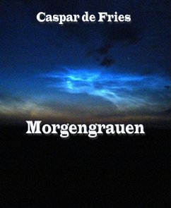 Morgengrauen (eBook, ePUB) - de Fries, Caspar