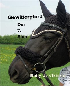 Gewitterpferd (eBook, ePUB) - J. Viktoria, Betty