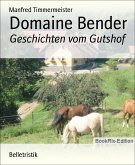 Domaine Bender (eBook, ePUB)