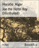 Joe the Hotel Boy (Illustrated) (eBook, ePUB)