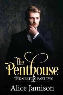 The Penthouse (The Meeting Part Two) (eBook, ePUB) - Jamison, Alice